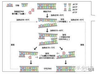 科技对疫情的影响