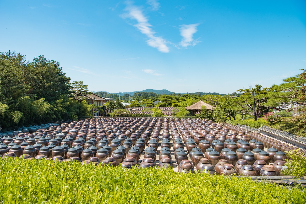 探索农业未来之路——走进山东省农业管理干部学院的科技引领与人才培养