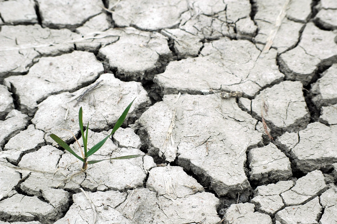 深度解析走进水土保持科学，守护大地的绿色长城——探秘水土保持学会的前沿力量